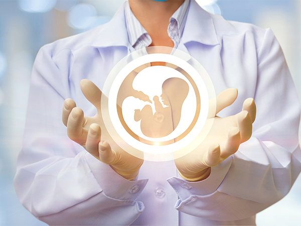 IVF Reproductive Assistance