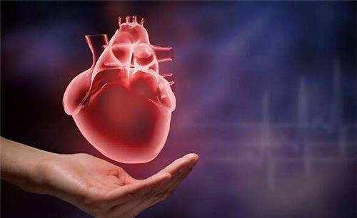 Organ Transplantation
